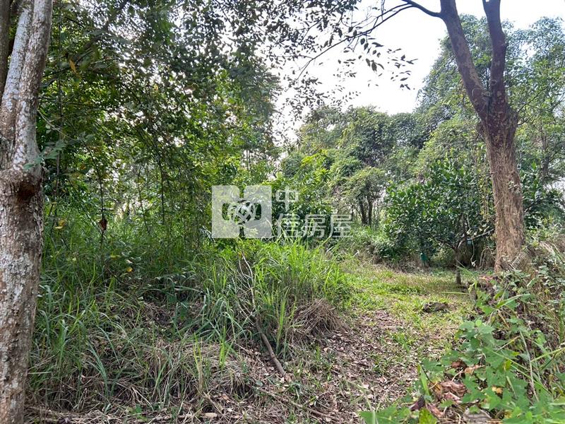 新化球場鳳凰山莊旁一般方正農地房屋室內格局與周邊環境