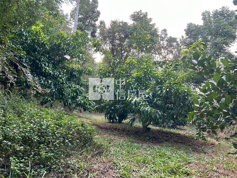 新化球場鳳凰山莊旁一般方正農地房屋室內格局與周邊環境