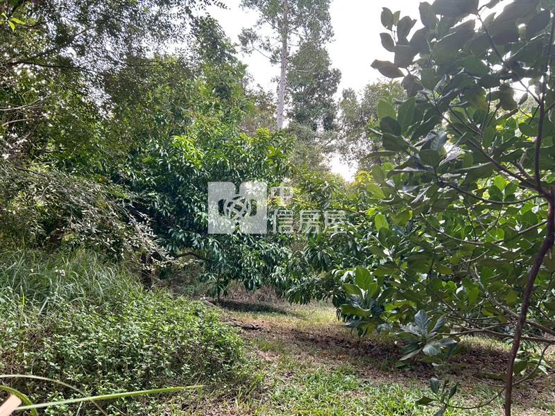 新化球場鳳凰山莊旁一般方正農地房屋室內格局與周邊環境