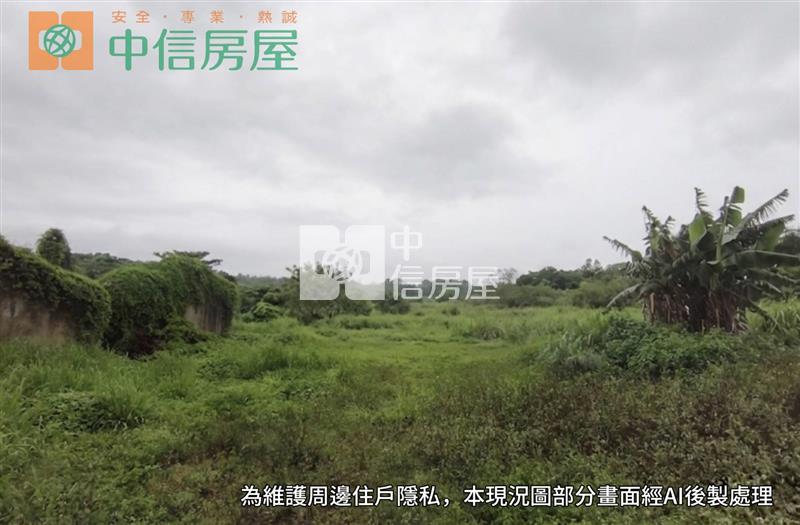 金湖村莊內優質建地房屋室內格局與周邊環境
