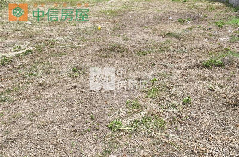 金湖村莊內優質建地房屋室內格局與周邊環境