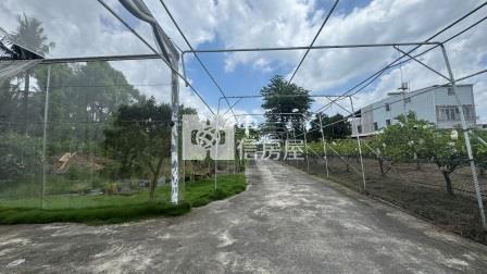 屏東土地-洛陽開心農地房屋室內格局與周邊環境