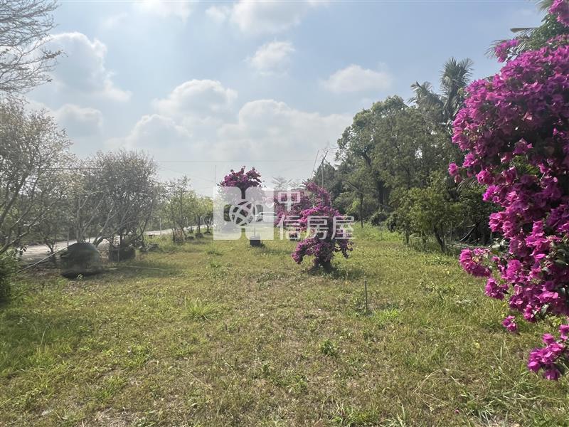 屏東土地-洛陽開心農地房屋室內格局與周邊環境