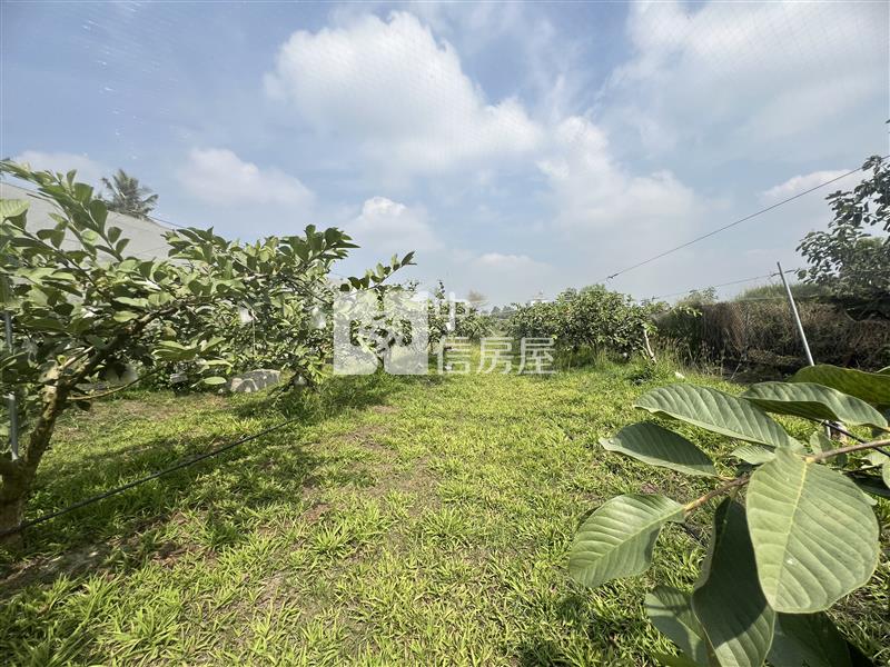 屏東土地-洛陽開心農地房屋室內格局與周邊環境