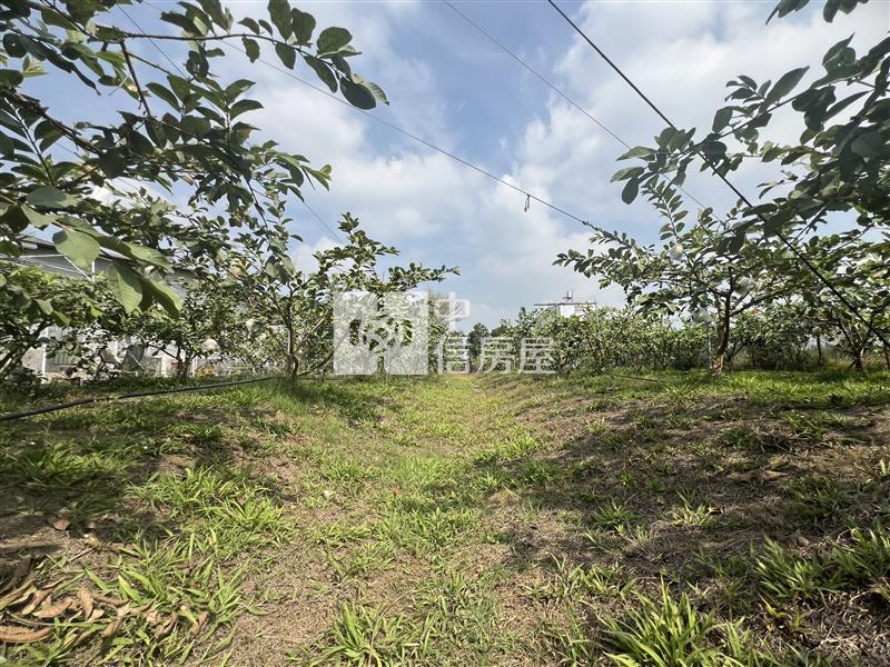 屏東土地-洛陽開心農居房屋室內格局與周邊環境