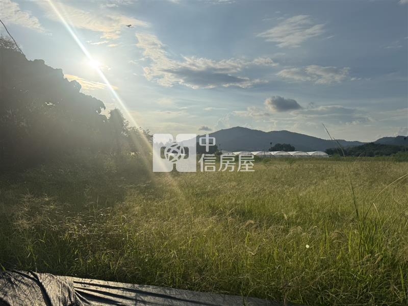 南村農地房屋室內格局與周邊環境