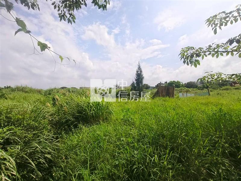 大園近捷運綠線G15A菓林站都內美農地房屋室內格局與周邊環境