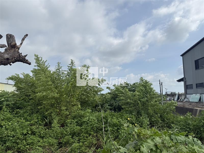 西港稀有都內農地房屋室內格局與周邊環境