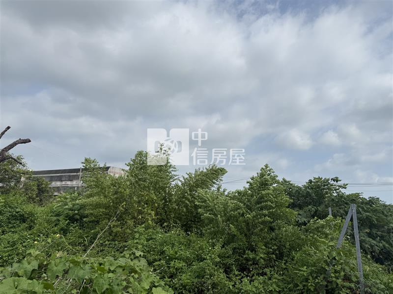 西港稀有都內農地房屋室內格局與周邊環境