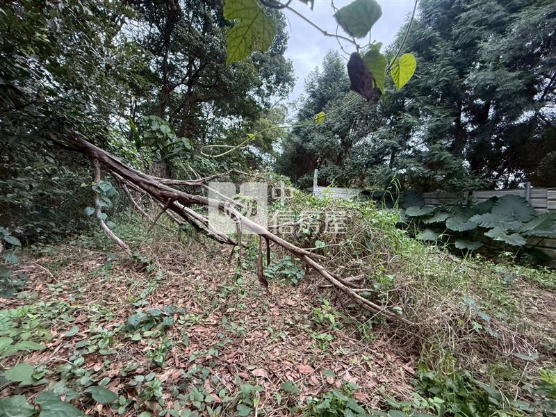 專-大溪近中科院臨路漂亮農地房屋室內格局與周邊環境