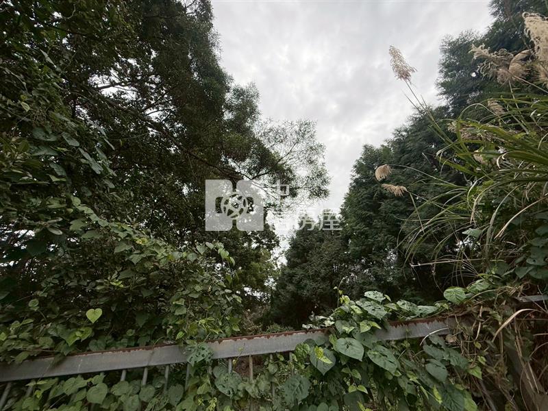 專-大溪近中科院臨路漂亮農地房屋室內格局與周邊環境