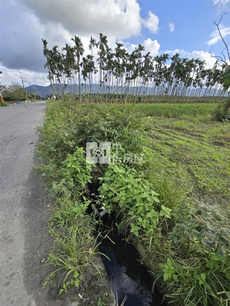 花蓮縣光復鄉大全段千坪農地房屋室內格局與周邊環境