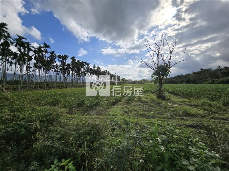 花蓮縣光復鄉大全段千坪農地房屋室內格局與周邊環境