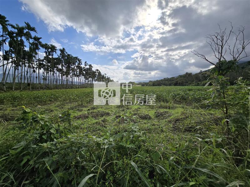 花蓮縣光復鄉大全段千坪農地房屋室內格局與周邊環境
