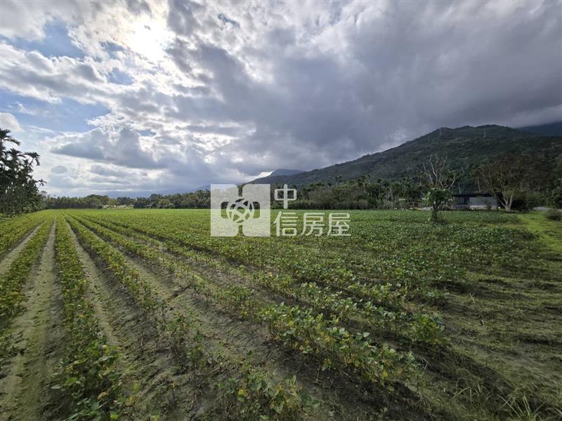 花蓮縣光復鄉大全段千坪農地房屋室內格局與周邊環境