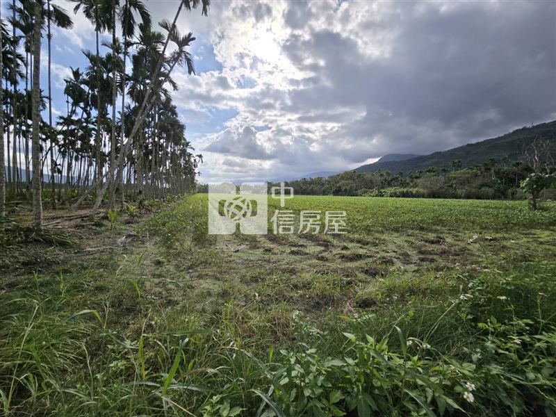 花蓮縣光復鄉大全段千坪農地房屋室內格局與周邊環境