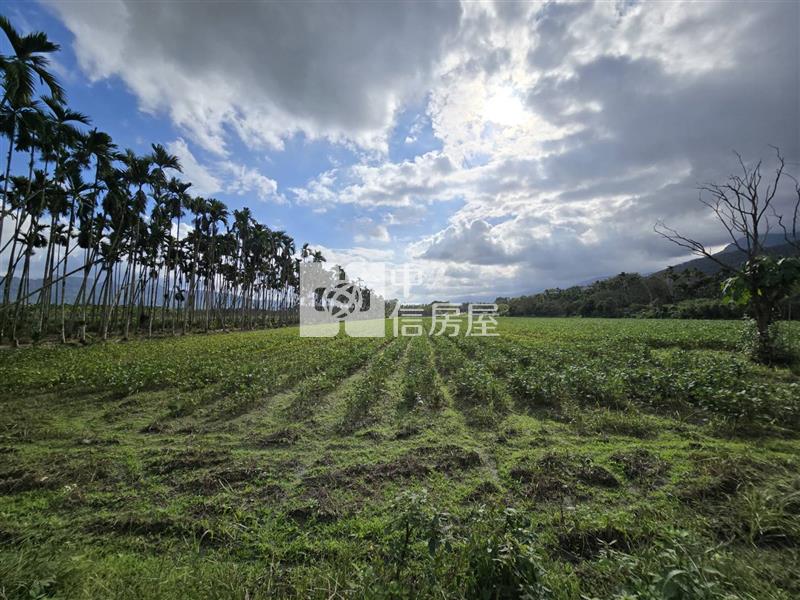 花蓮縣光復鄉大全段千坪農地房屋室內格局與周邊環境