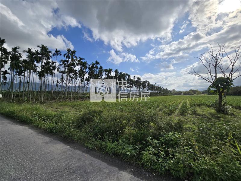 花蓮縣光復鄉大全段千坪農地房屋室內格局與周邊環境