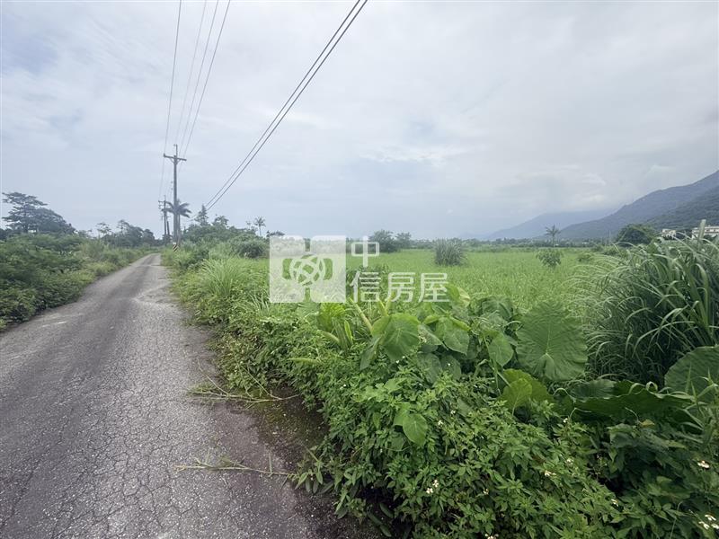 北埔臨路低總價小坪數農地房屋室內格局與周邊環境