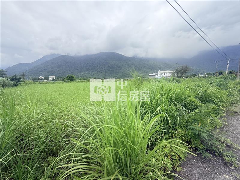 北埔臨路低總價小坪數農地房屋室內格局與周邊環境