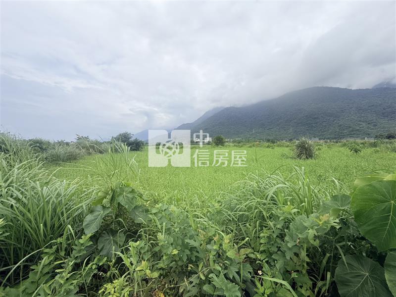北埔臨路低總價小坪數農地房屋室內格局與周邊環境