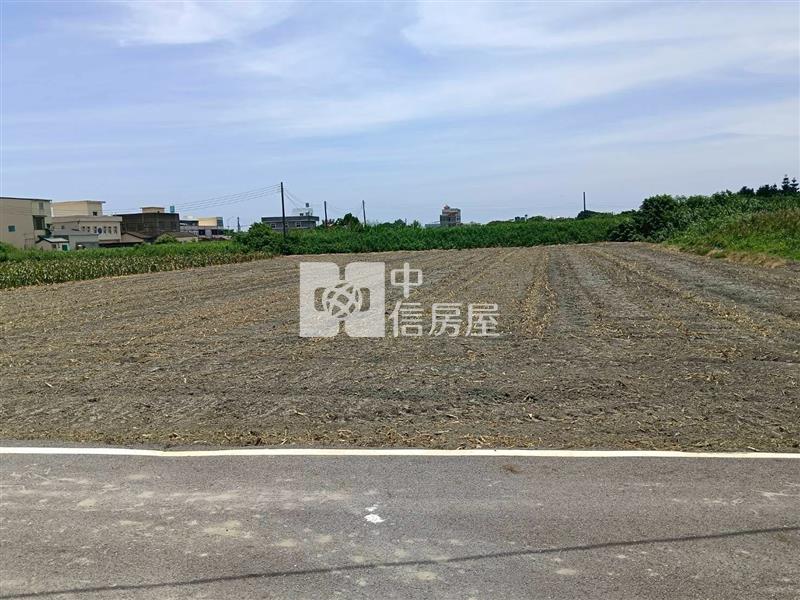 台西漂亮農地房屋室內格局與周邊環境