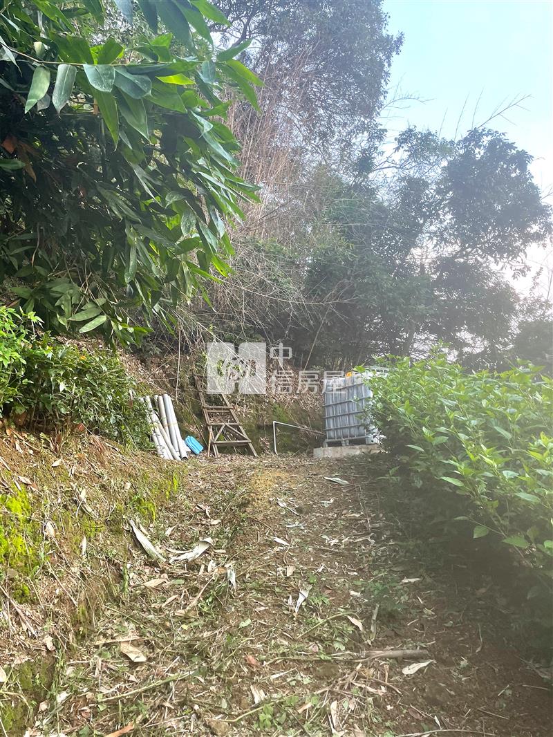 后里方正百坪低總價開心農場房屋室內格局與周邊環境