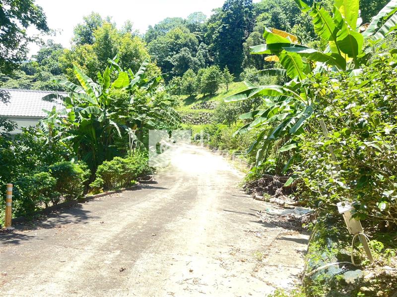 南庄合法農舍莊園果菜園農地C房屋室內格局與周邊環境