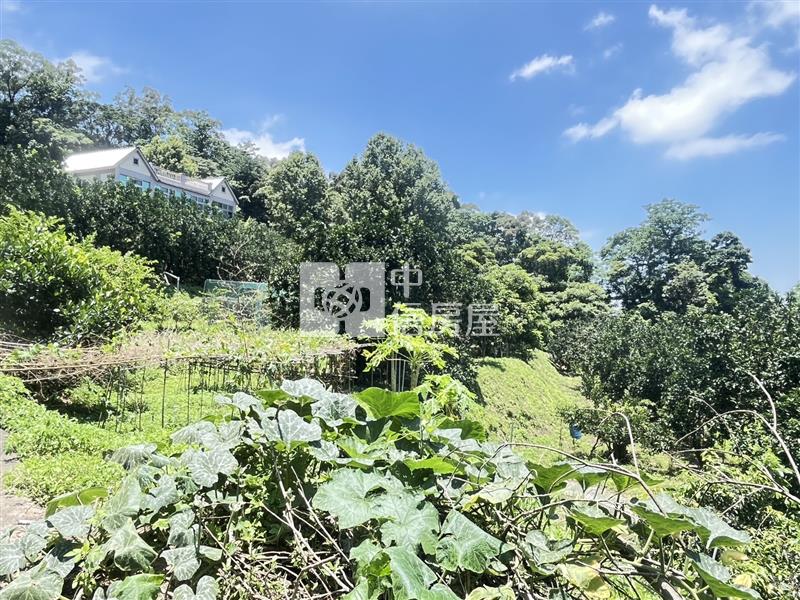 南庄合法農舍莊園果菜園農地C房屋室內格局與周邊環境