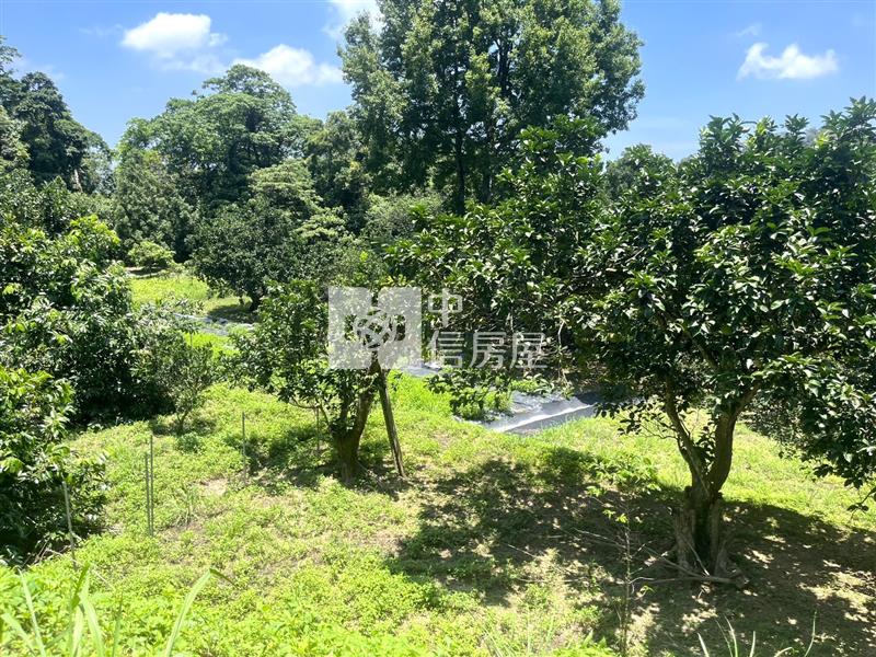 南庄合法農舍莊園果菜園農地C房屋室內格局與周邊環境