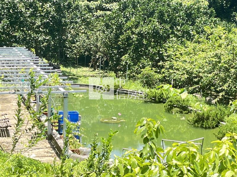 南庄合法農舍莊園果菜園農地C房屋室內格局與周邊環境