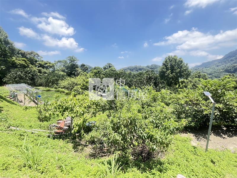 南庄合法農舍莊園果菜園農地C房屋室內格局與周邊環境