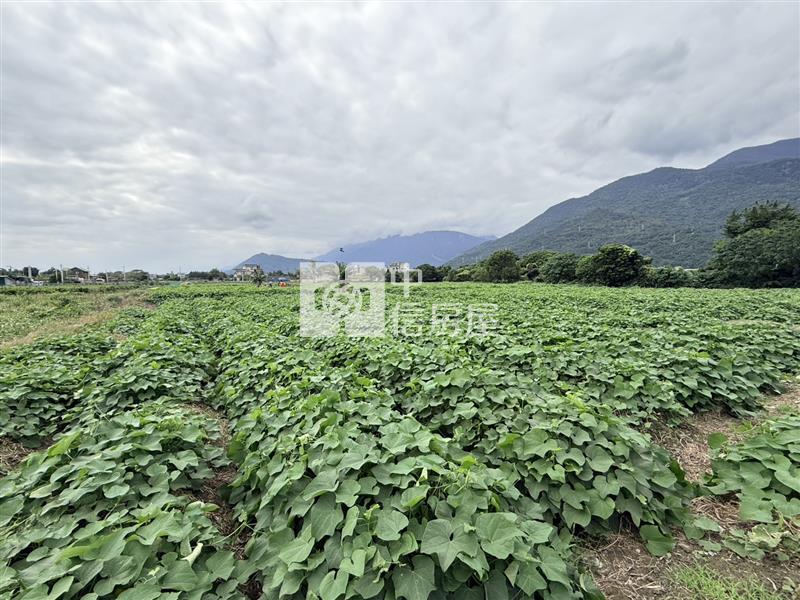 吉安福興都內景觀農地房屋室內格局與周邊環境