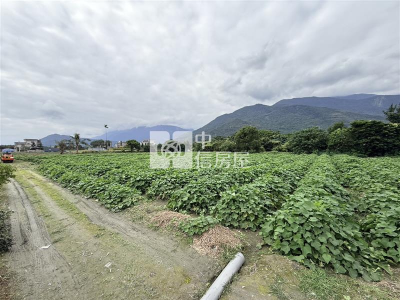 吉安福興都內景觀農地房屋室內格局與周邊環境