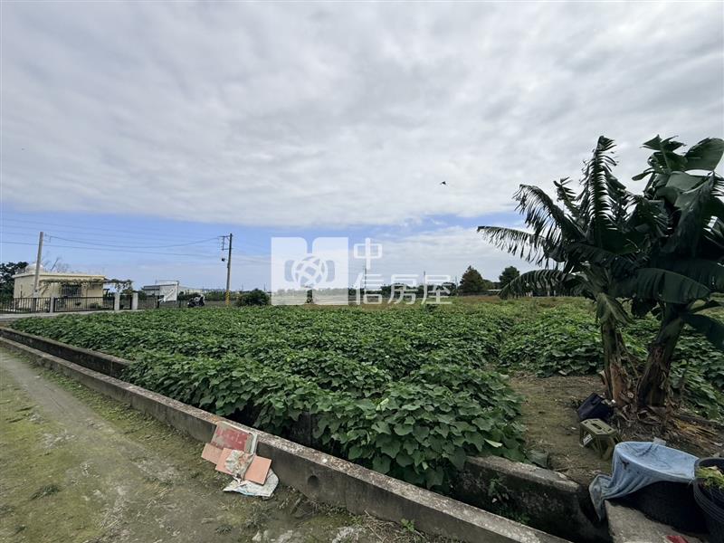吉安福興都內景觀農地房屋室內格局與周邊環境