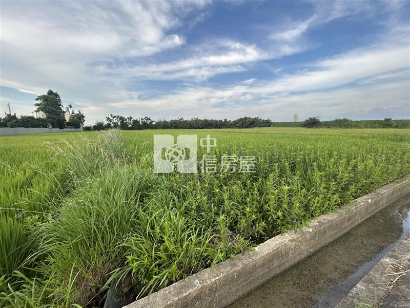 新屋6米路農地房屋室內格局與周邊環境