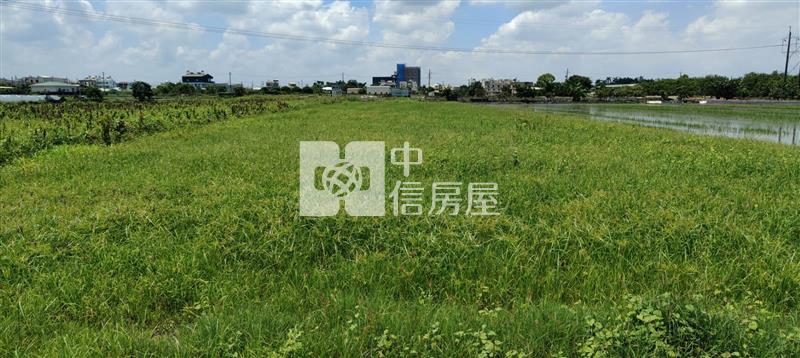 新市大社近社區優質美農地房屋室內格局與周邊環境