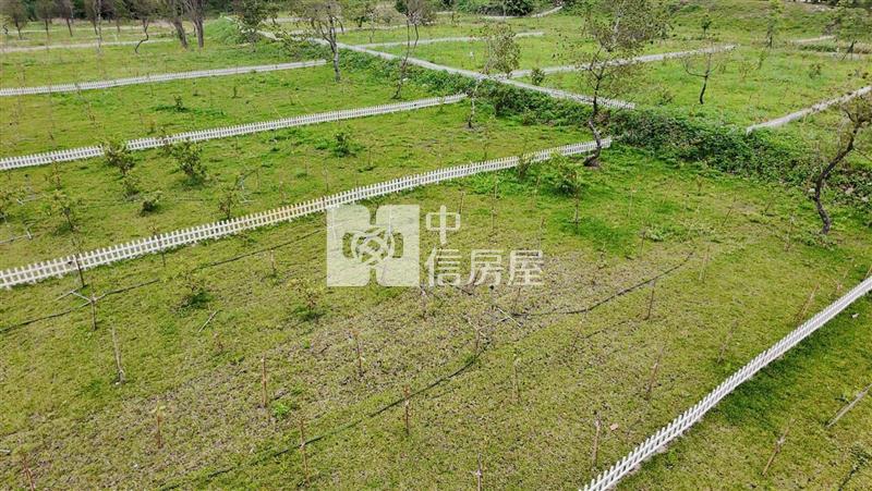 大溪景觀休閒美農地房屋室內格局與周邊環境