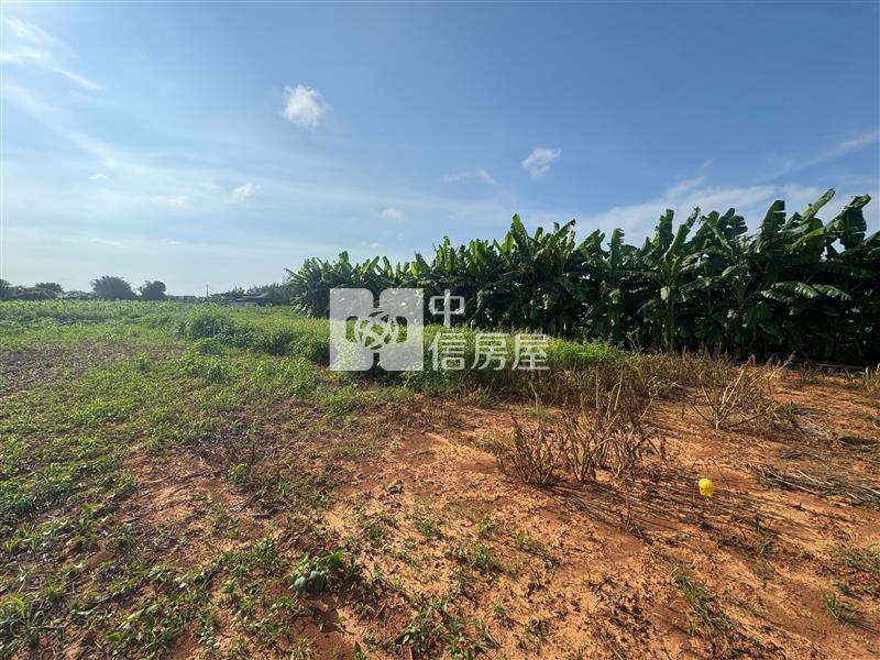 沙鹿區公明國小旁農地房屋室內格局與周邊環境