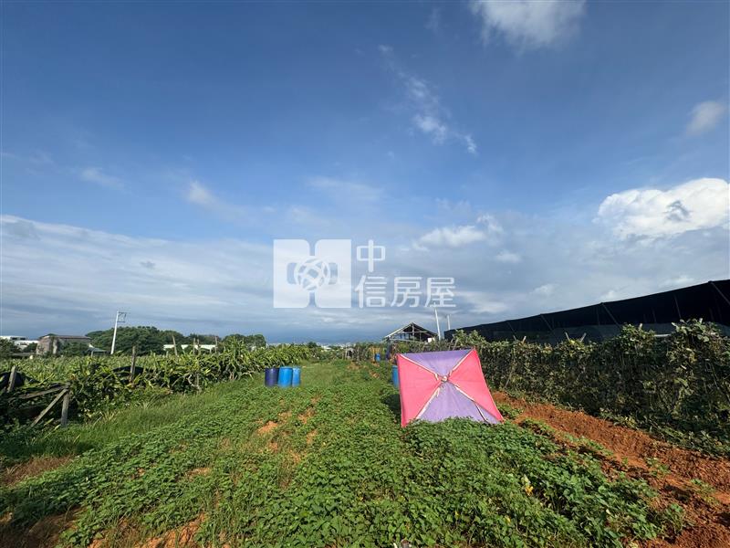 沙鹿區公明國小旁農地房屋室內格局與周邊環境