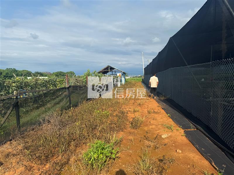 沙鹿區公明國小旁農地房屋室內格局與周邊環境