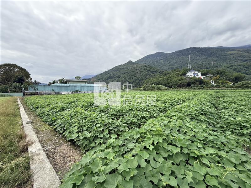 吉安上騰工商旁臨路農地房屋室內格局與周邊環境