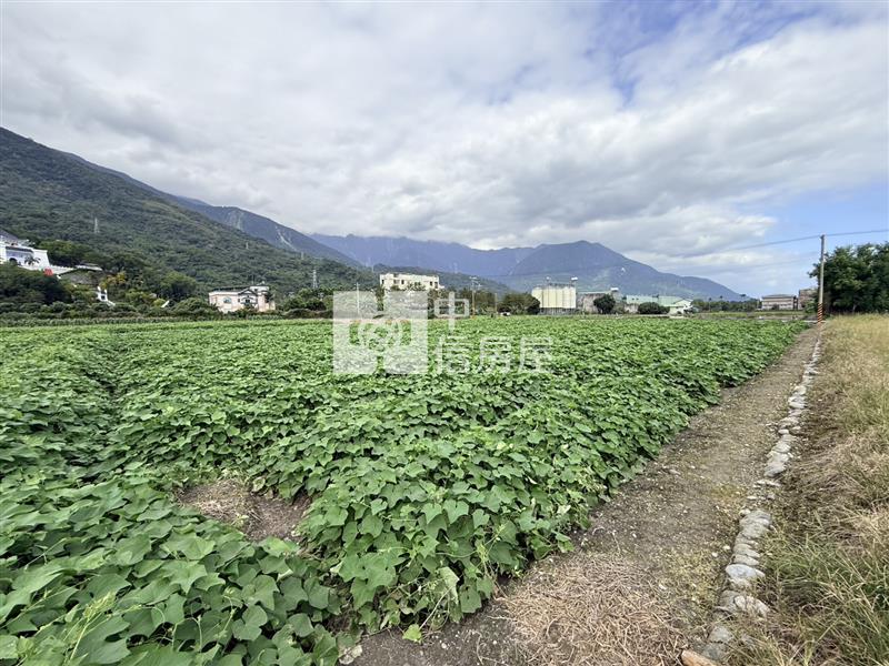 吉安上騰工商旁臨路農地房屋室內格局與周邊環境