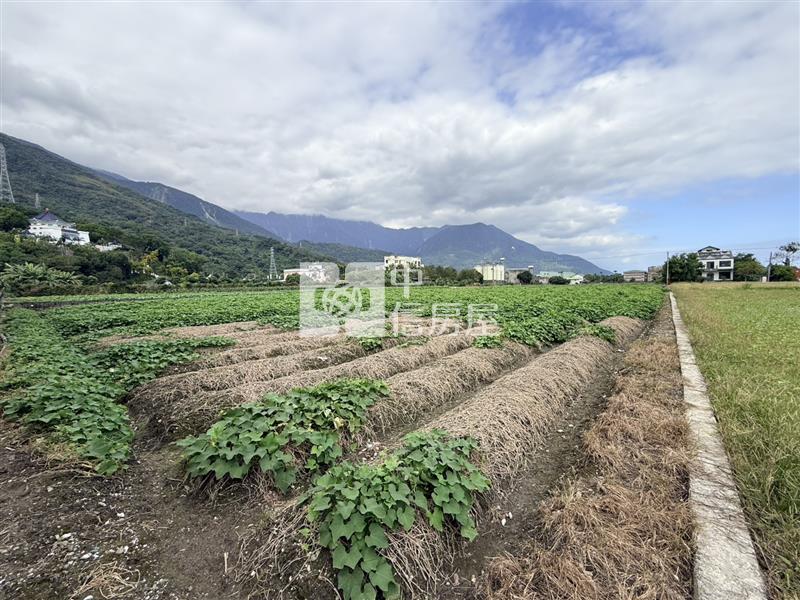 吉安上騰工商旁臨路農地房屋室內格局與周邊環境
