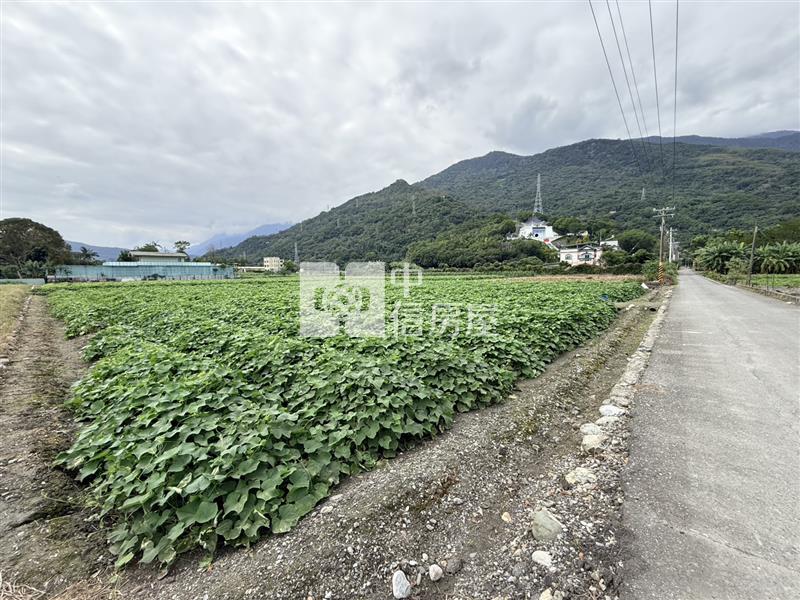 吉安上騰工商旁臨路農地房屋室內格局與周邊環境