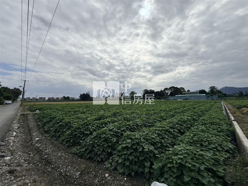 吉安上騰工商旁臨路農地房屋室內格局與周邊環境