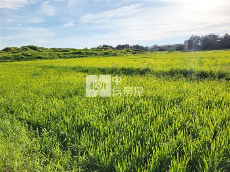 【新世紀】正台61西濱公路旁一般農房屋室內格局與周邊環境