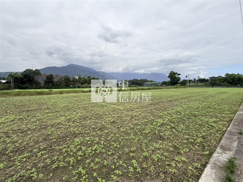 吉安永興四街地形方正美農地房屋室內格局與周邊環境