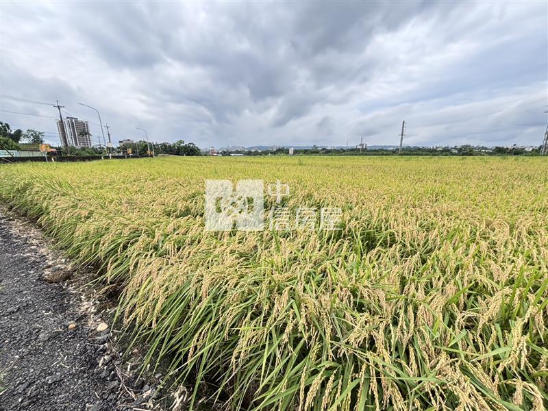 台北商業大學龍福路旁方正農地B房屋室內格局與周邊環境
