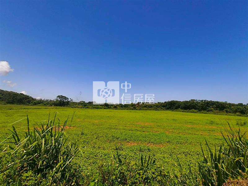 近新豐蚵間8米路面寬美農地房屋室內格局與周邊環境